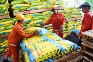CẦN CÂN NHẮC KHI ÁP THUẾ ĐỒNG LOẠT 5% VỚI PHÂN BÓN VÔ CƠ XUẤT KHẨU